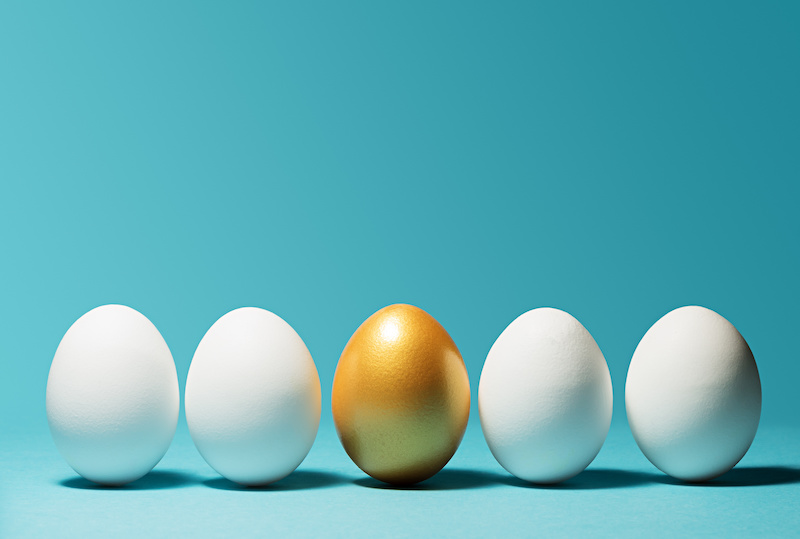 What Are The Differences Between A Will And A Trust?